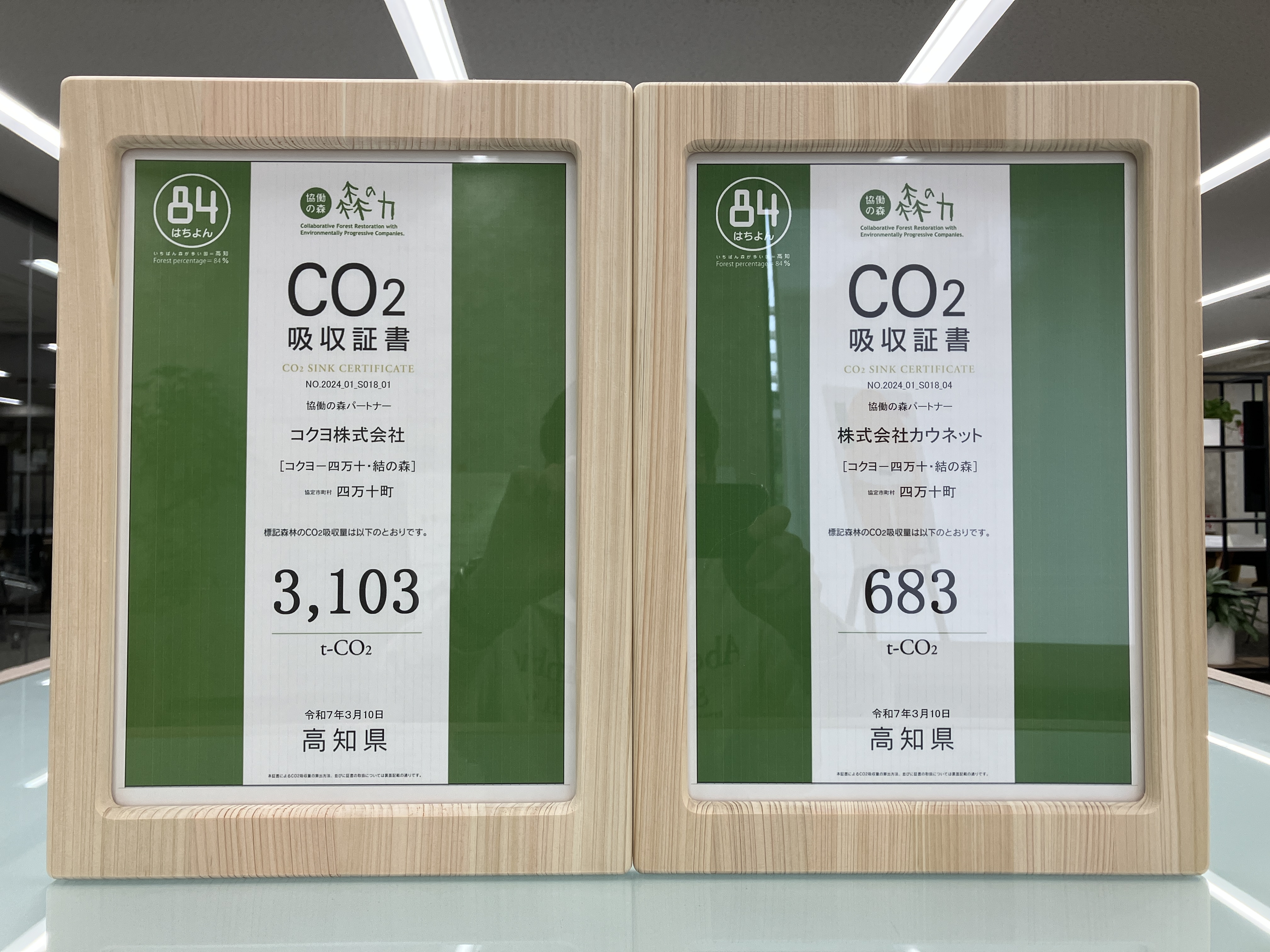 CO2 absorption certificate