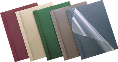 レポートファイル ﾌｰS100B,DM,G,M,R　商品写真