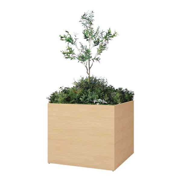 中カテゴリ画像