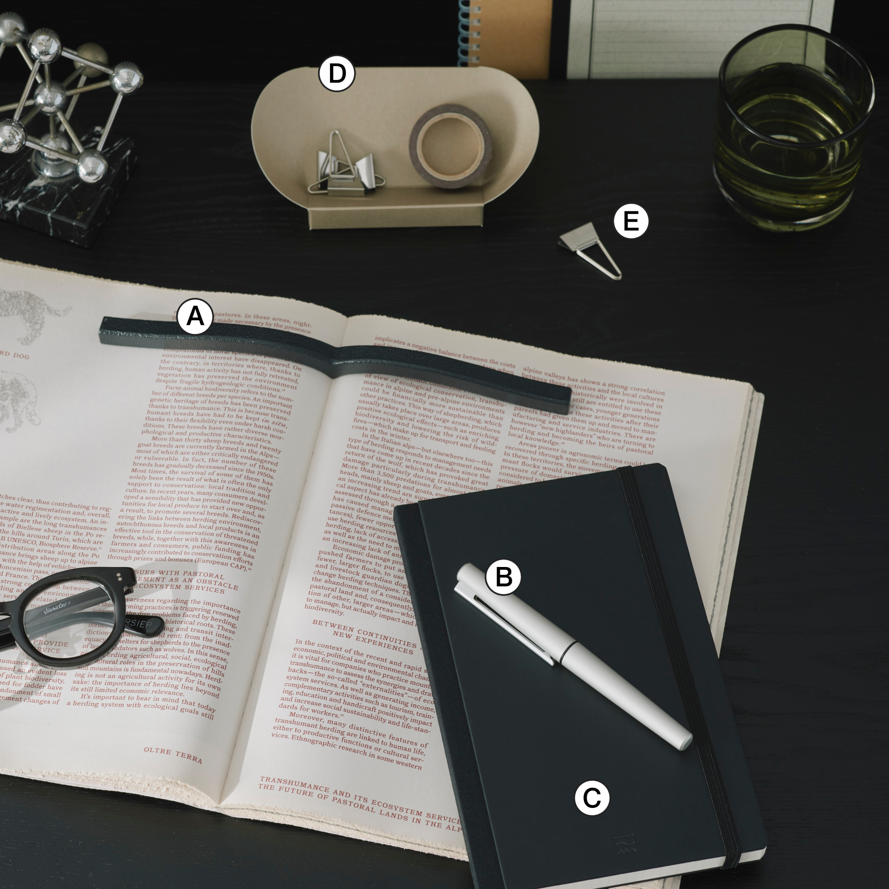 自分時間に浸る、 大人の書斎　シーン2