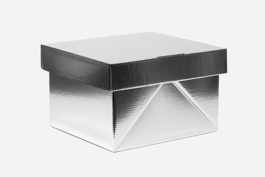 CARTON 2.0 ARCHIVE BOX