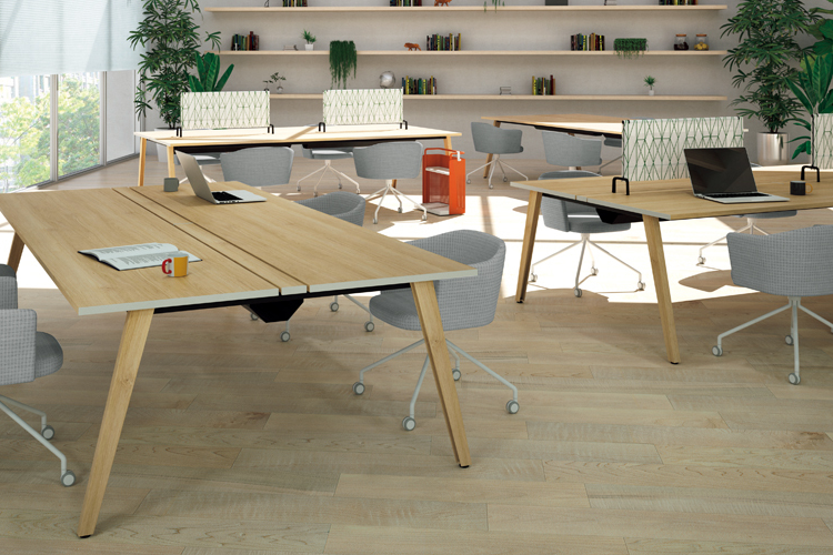 SENTIR（センティア）