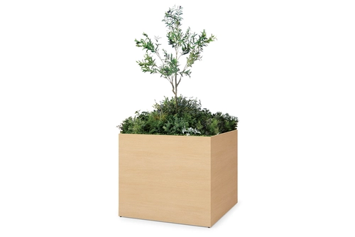 グリーンフォーワークスペース