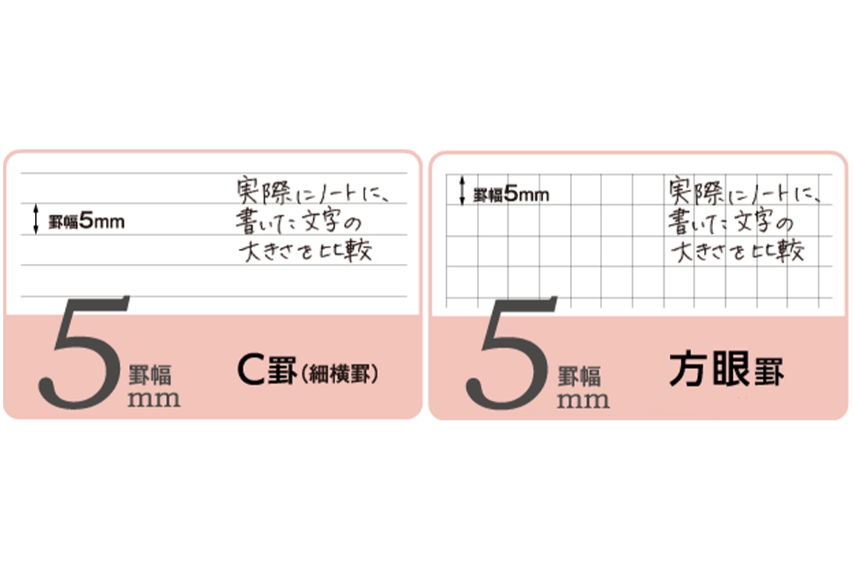 罫幅5ミリC罫と罫幅5ミリ方眼罫の画像