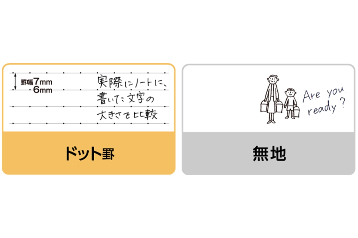 ドット罫と無地の画像