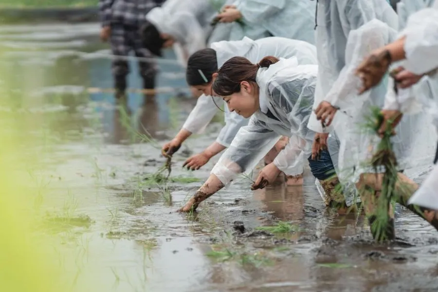 2022年4月、千葉県南房総市での親子ワーケーションのアクティビティ「田植え」の様子