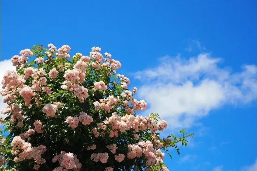 ””