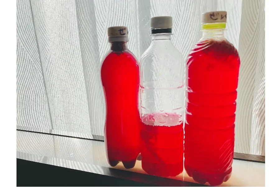 色水は息子の宝物になり、お土産として持ち帰りました（笑）