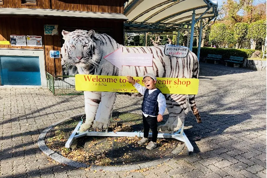 息子は動物園でホワイトタイガーと白クマさんに感激！