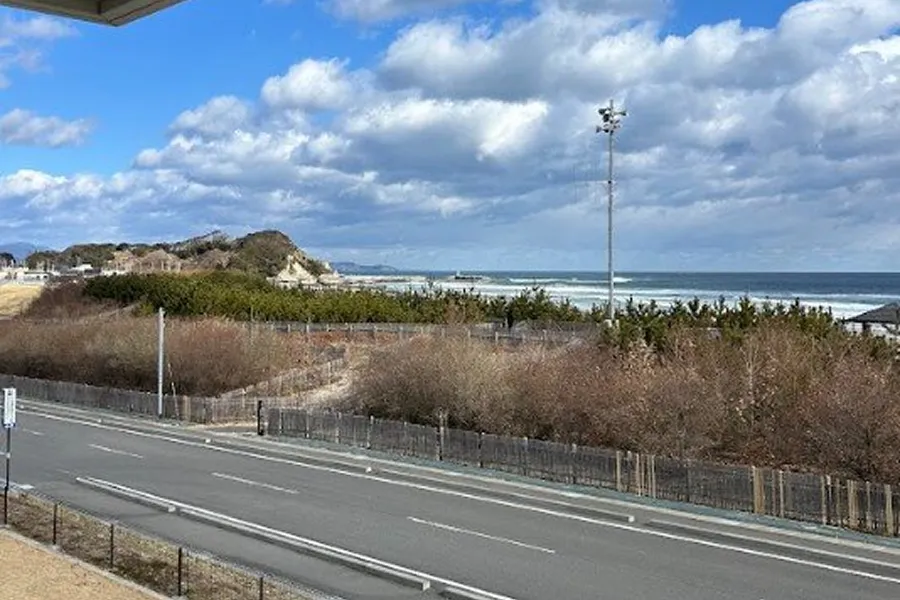 みらい館のテラスから見える海と松の海岸林