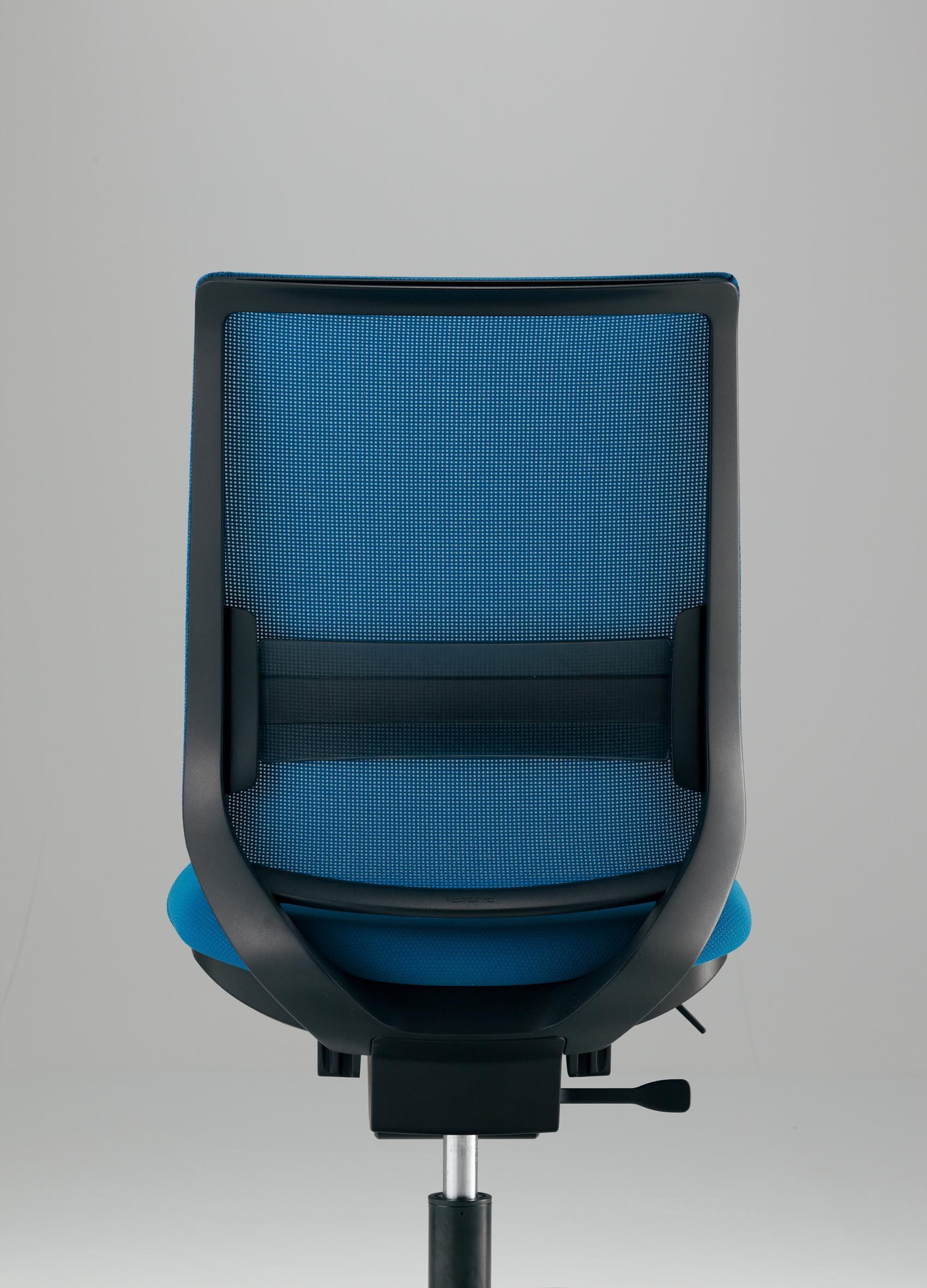 写真：「ランバーサポート」