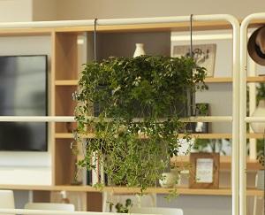 写真：植栽プランターの使用イメージ （※首都圏限定での提案）