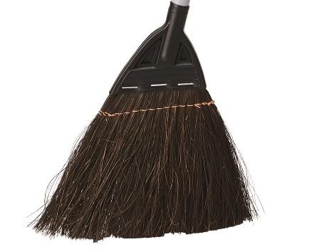 細かなほこりを掃くのに適した「シダ」面