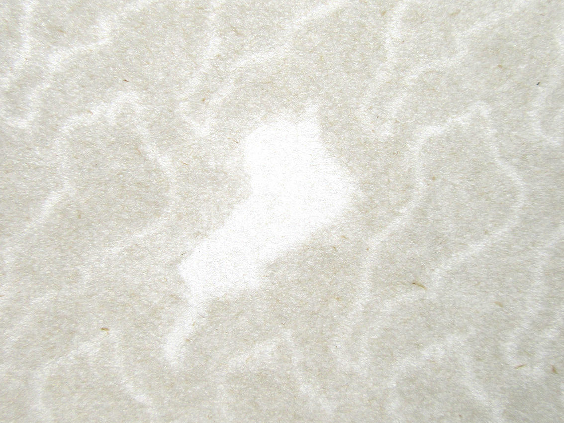 透かし模様　（左）びわこ