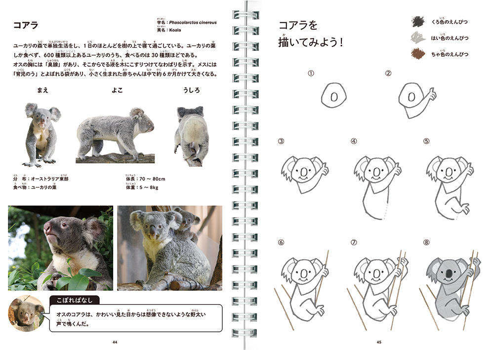 ＜掲載動物38種＞