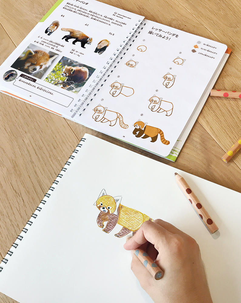 写真：おえかきずかん