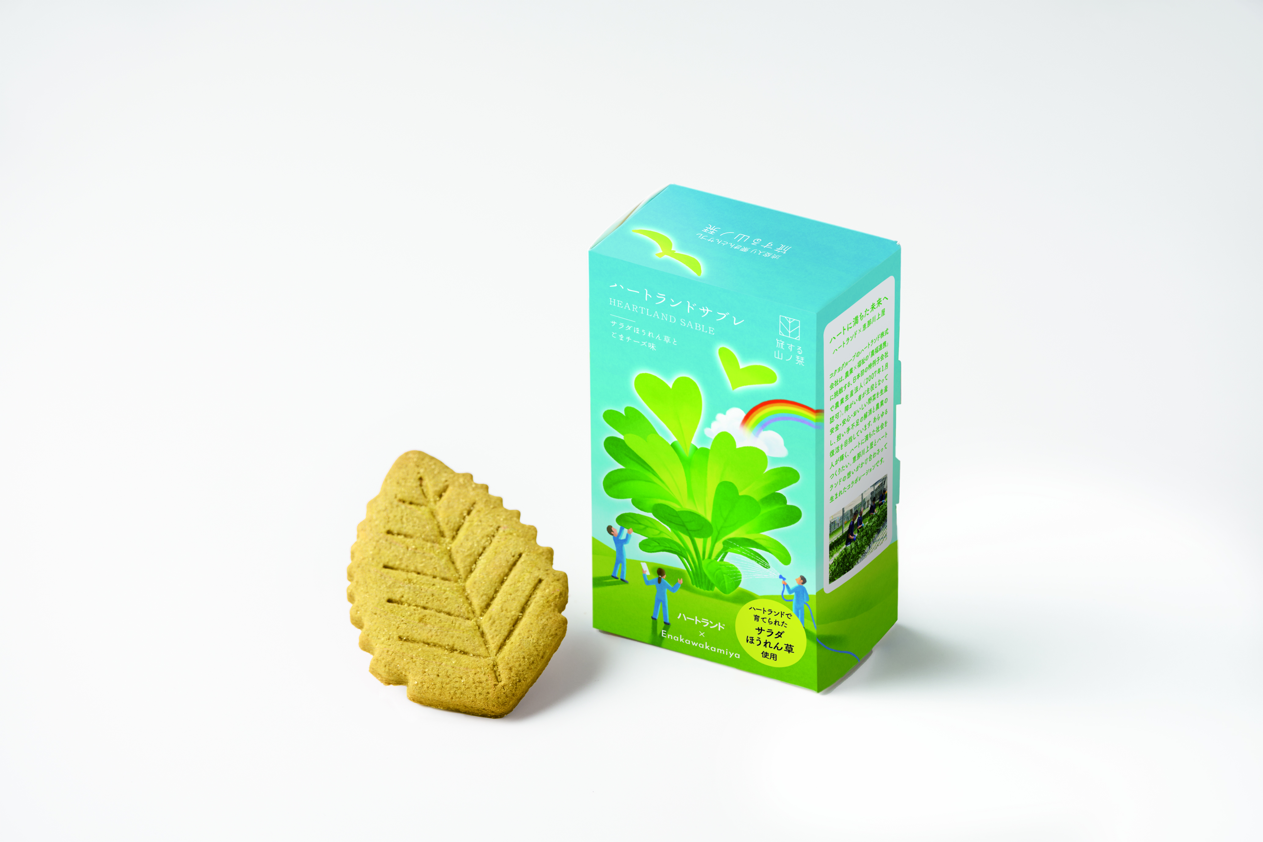 ほうれん草風味のサブレ