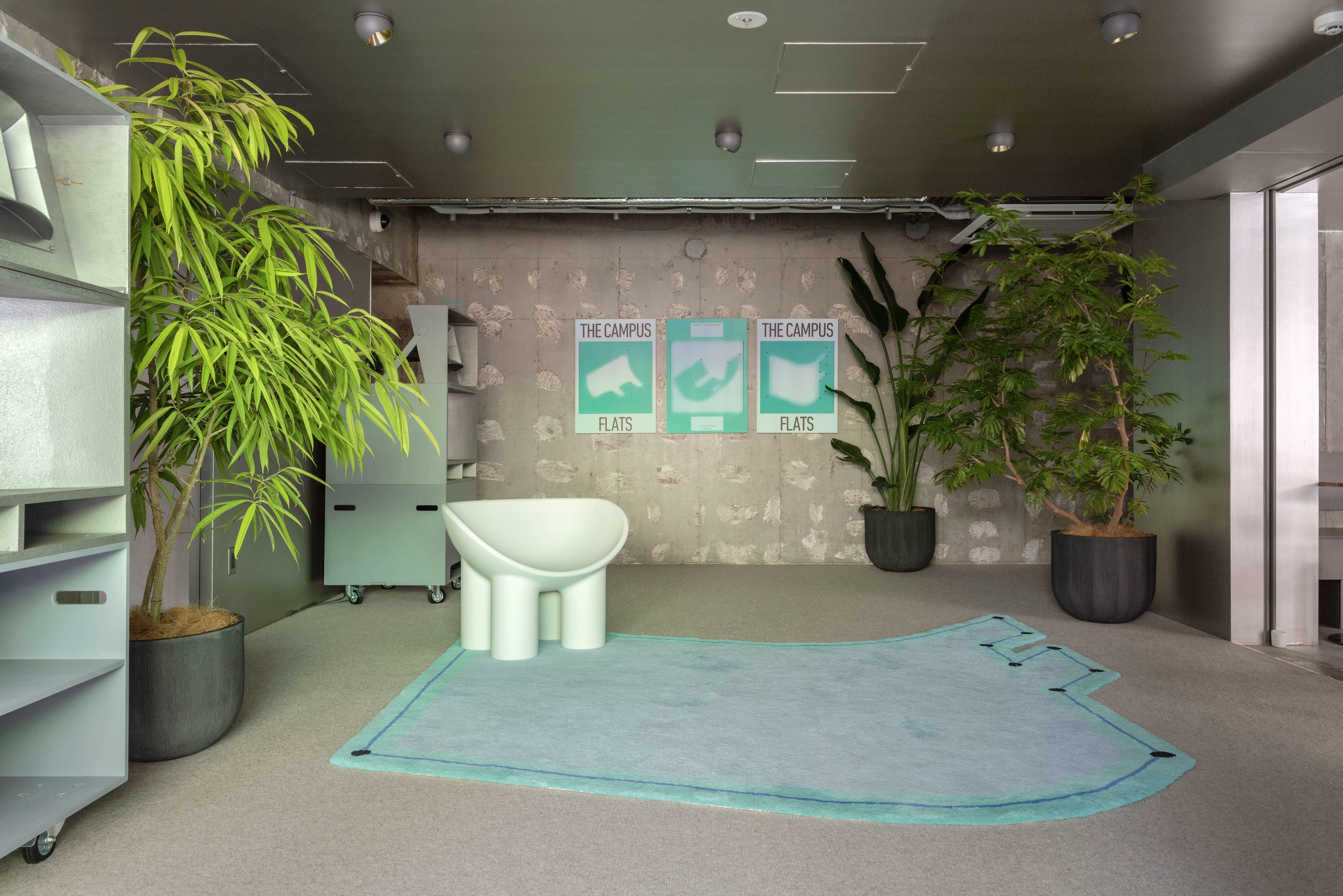 Photography Shinya Rachi