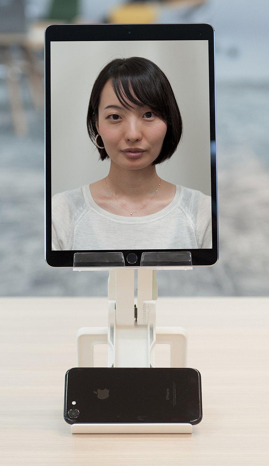 写真：ライトアップ無しのイメージ