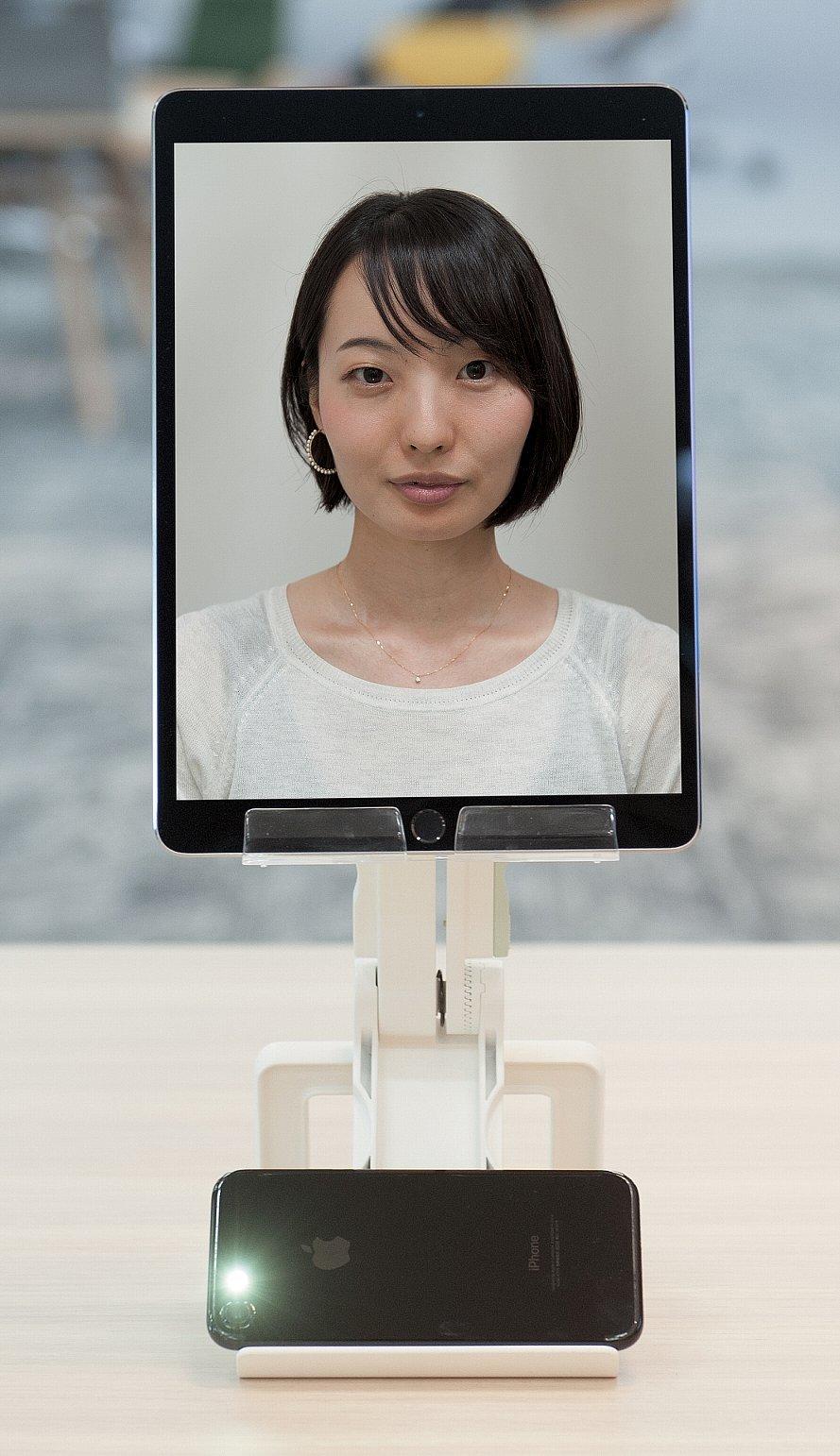 写真：ライトアップ有りのイメージ
