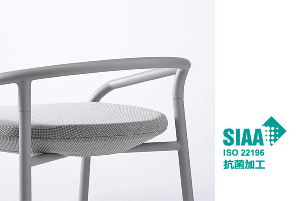 背のバリエーション2