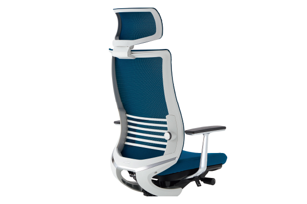 背のバリエーション1