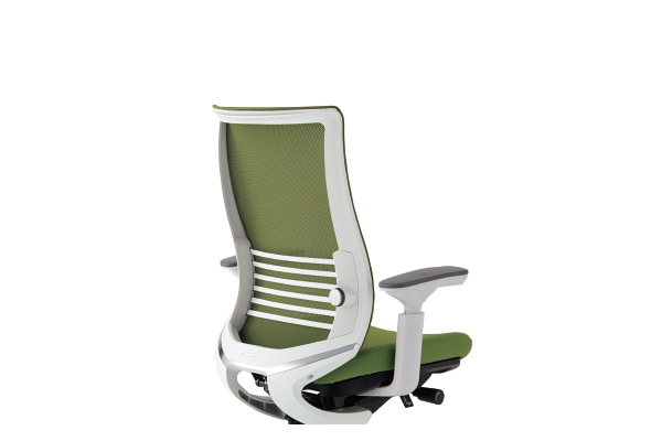 背のバリエーション2