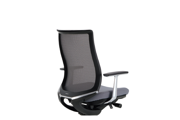 背のバリエーション3