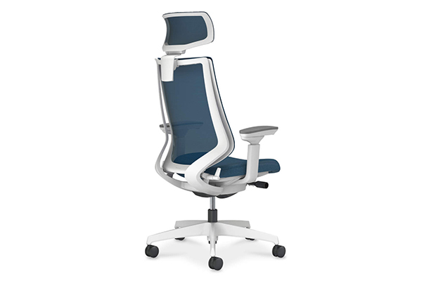 本体のバリエーション1