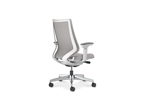 本体のバリエーション4