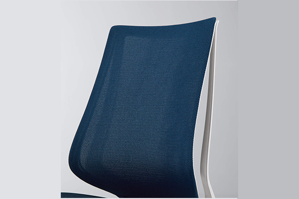 背のバリエーション1