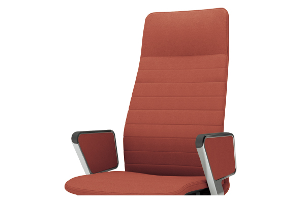 背のバリエーション3