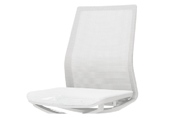 背のバリエーション4