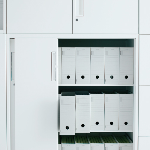 その他特長画像