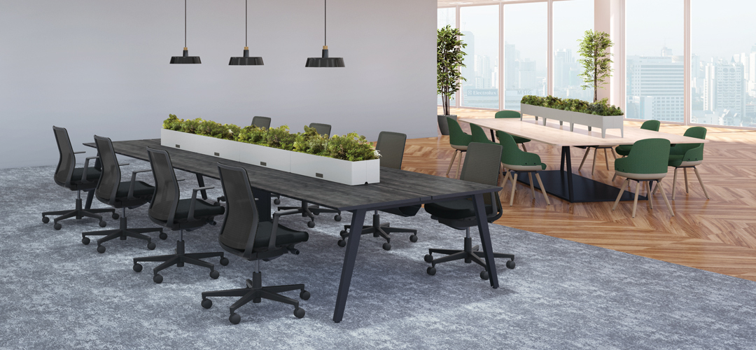 ギャラリー画像