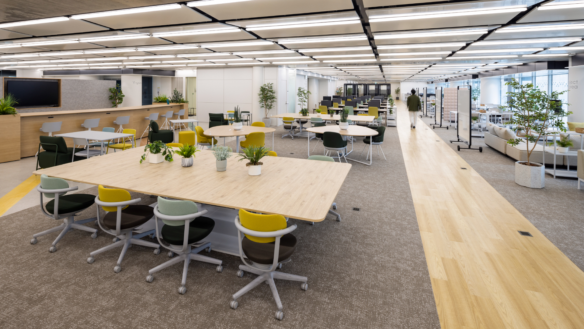 ギャラリー画像