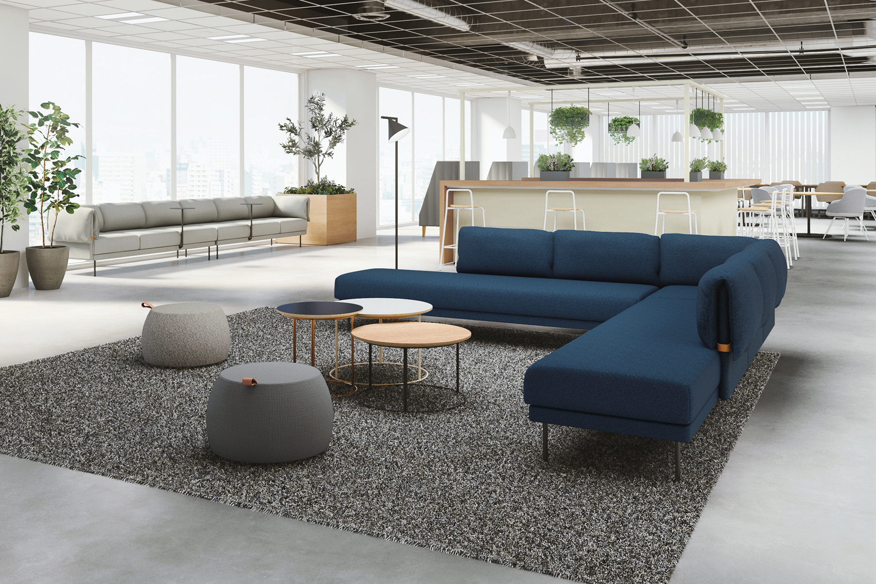 ギャラリー画像