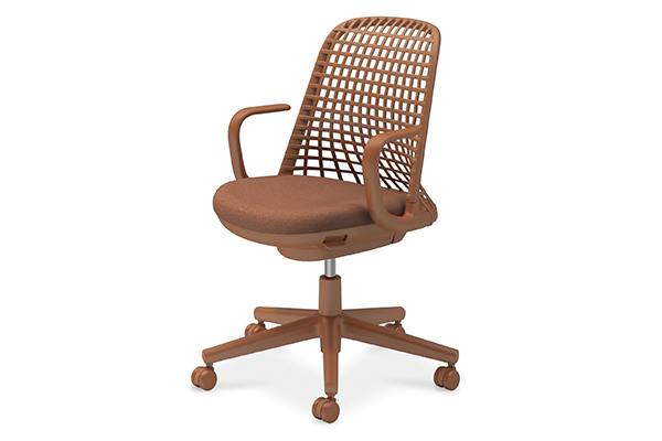 本体のバリエーション1