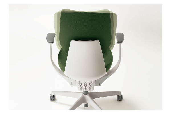 背のバリエーション1