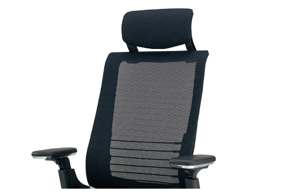 背のバリエーション1