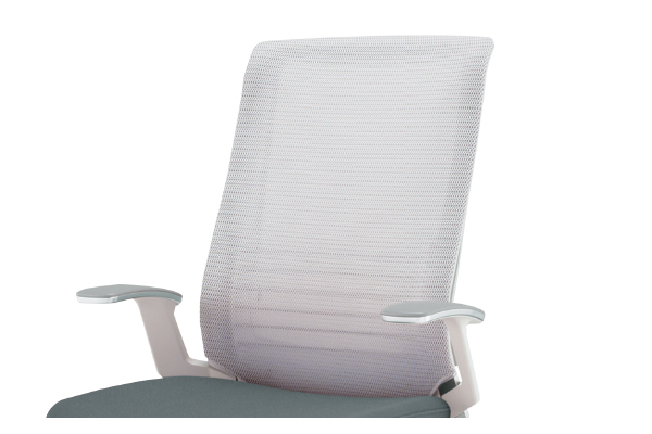 背のバリエーション2