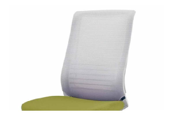 背のバリエーション4