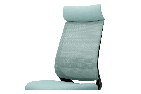 背のバリエーション1