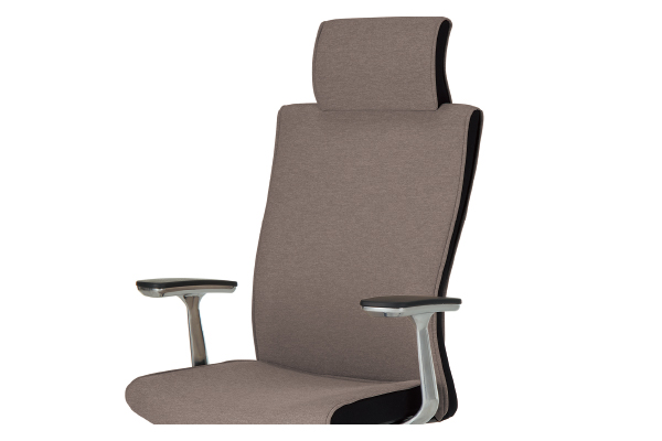 背のバリエーション2