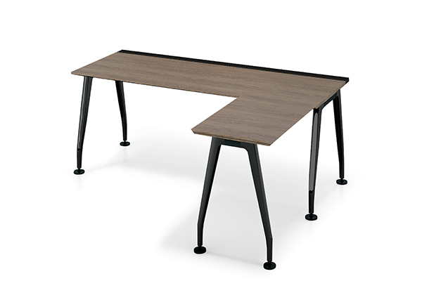 本体のバリエーション6