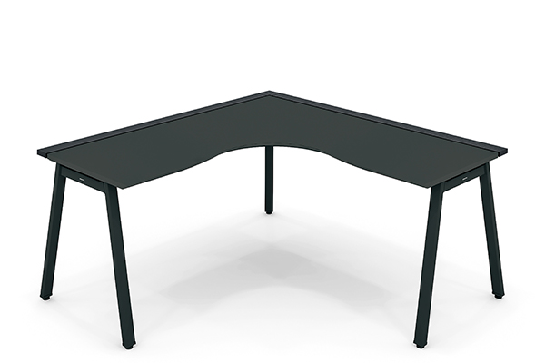 本体のバリエーション7