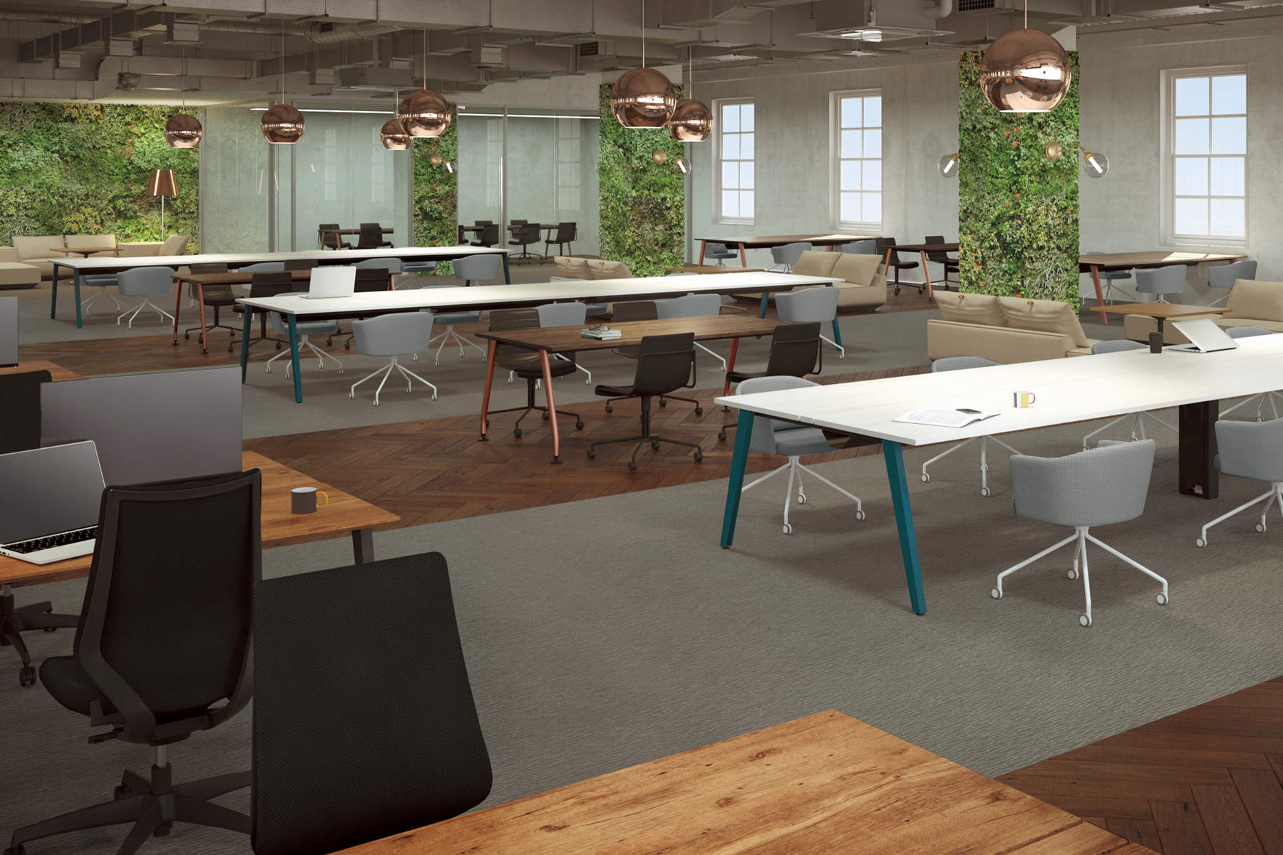 ギャラリー画像1