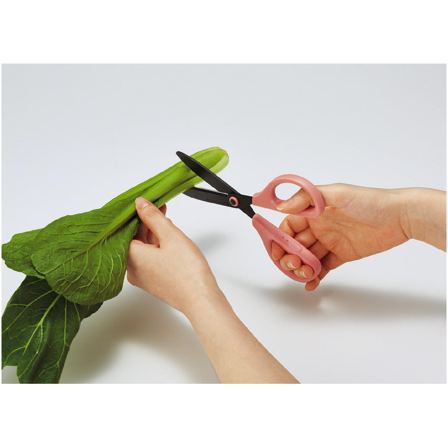 キッチンタイプ_ギャラリー01