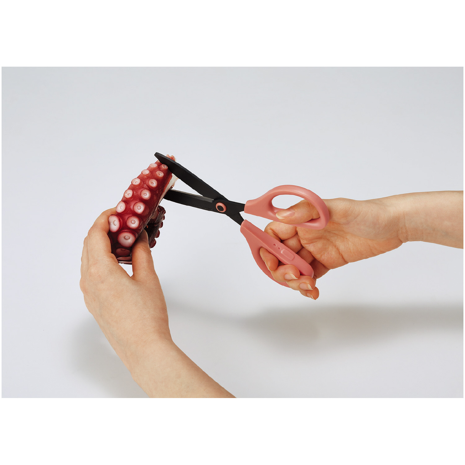 キッチンタイプ_ギャラリー02