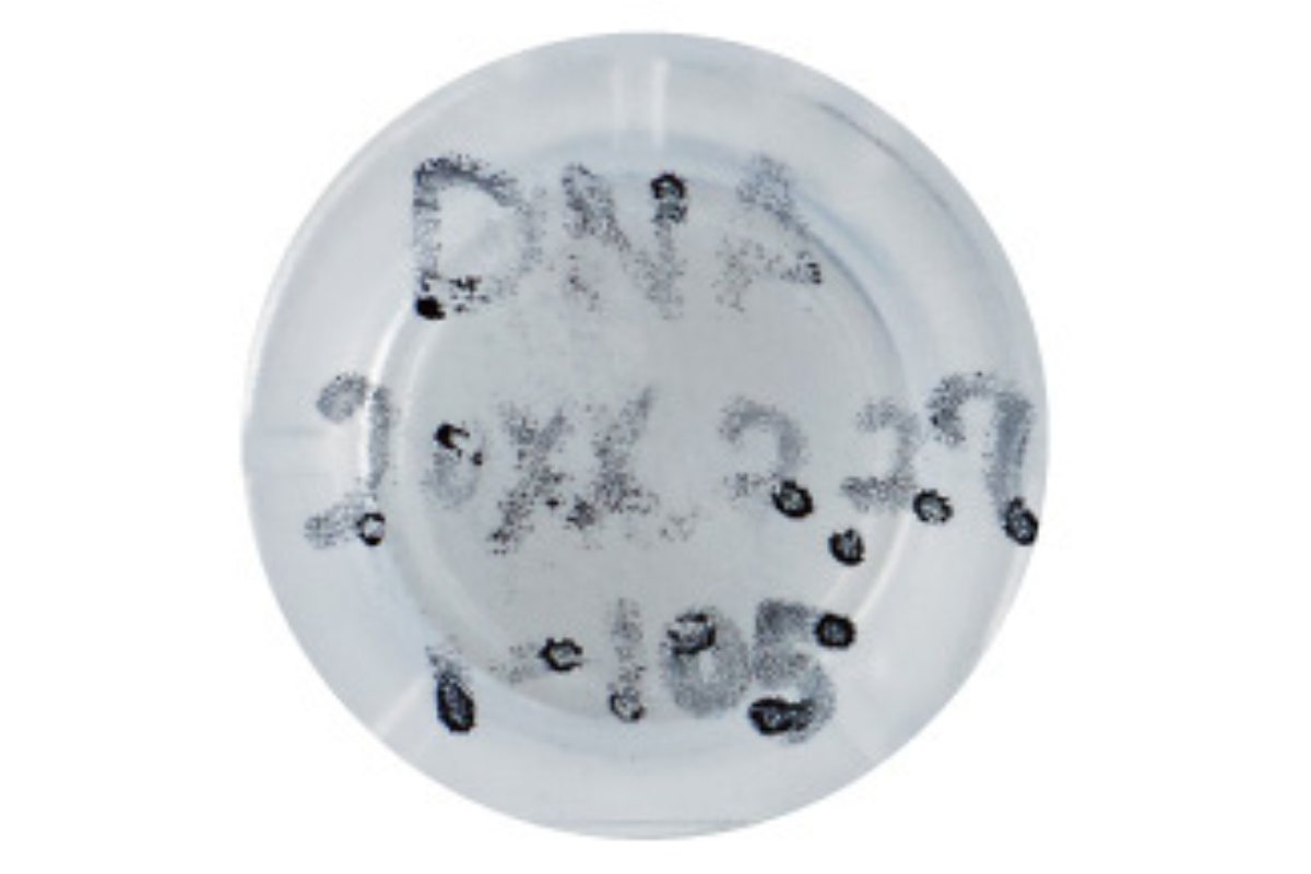 ラボラベ困りごと03